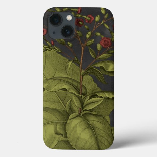 ベスラー・ドラマティックI Case-Mate iPhoneケース (裏面)