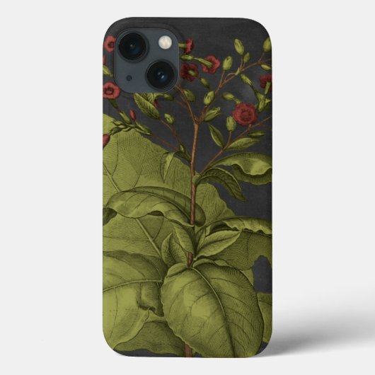 ベスラー・ドラマティックI Case-Mate iPhoneケース (裏面)