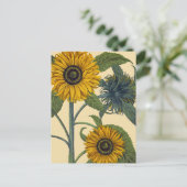 ベスラー：ヒマワリ ポストカード (スタンド正面)