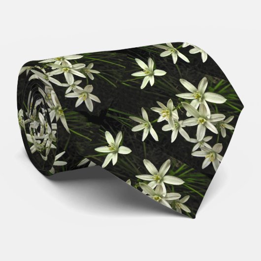 ベスレヘムの星 ネクタイ (ロール)