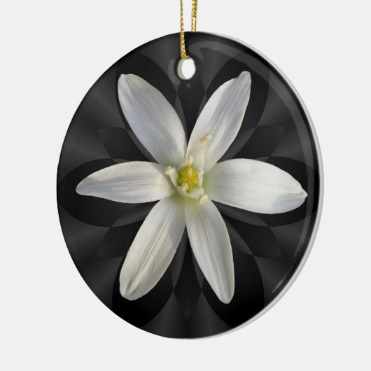 ベスレヘムの花の~のオーナメントの星 セラミックオーナメント (左)