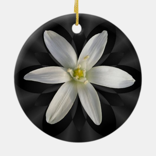 ベスレヘムの花の~のオーナメントの星 セラミックオーナメント (裏面)