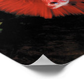 ベタのポスター ポスター (角)