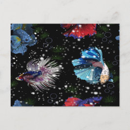 ベタカラフル魚 ポストカード