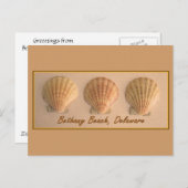 ベタニービーチ、デラウェア葉書 ポストカード (正面/裏面)