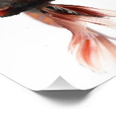 ベッタフィッシュ顔 フォトプリント            (角)