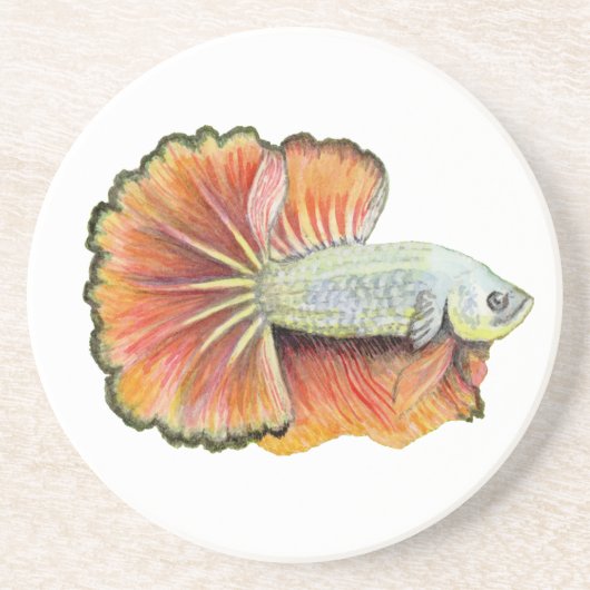 ベッタフィッシュ コースター (正面)