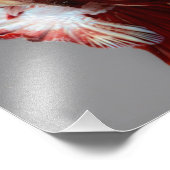 ベッタフィッシュ フォトプリント            (角)