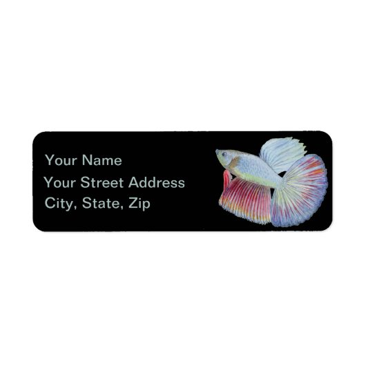 ベッタフィッシュ ラベル (正面)