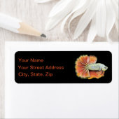 ベッタフィッシュ ラベル (インサイチュ)