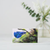 ベッタフィッシュ 名刺 (スタンド正面)