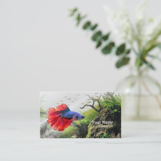 ベッタフィッシュ 名刺 (スタンド正面)