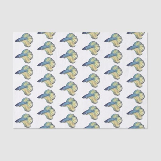 ベッタフィッシュ 薄葉紙 (正面)