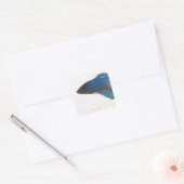 ベッタ魚又は雄のシャム魚 スクエアシール (封筒)