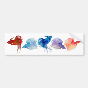 ベッタ魚 バンパーステッカー