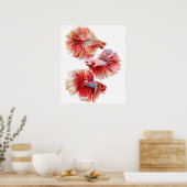 ベッタ魚 ポスター (キッチン)