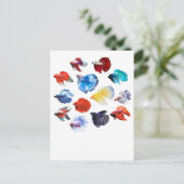 ベッタ2 ポストカード (スタンド正面)