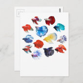 ベッタ2 ポストカード (正面/裏面)