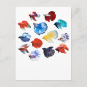 ベッタ2 ポストカード (正面)