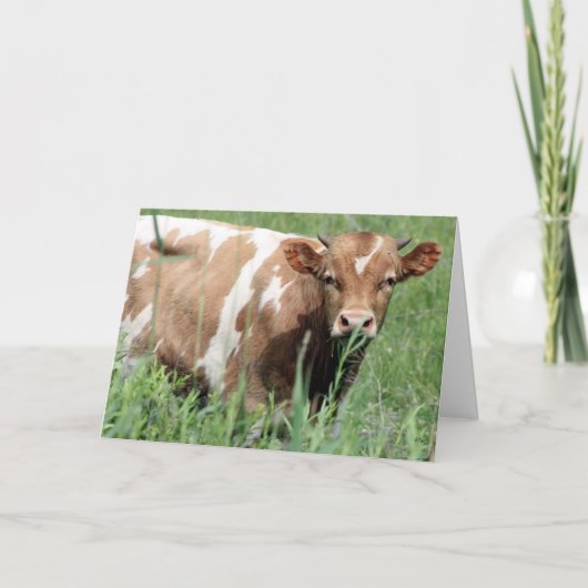 ベッツィ、こんにちは カード (正面)