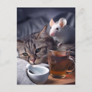 ベッドで休んでいる病子猫 ポストカード