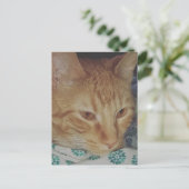 ベッドにいるかわいいジンジャー子猫 ポストカード (スタンド正面)