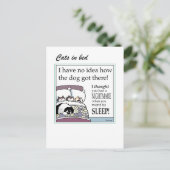 ベッドに入った猫 ポストカード (スタンド正面)