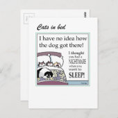 ベッドに入った猫 ポストカード (正面/裏面)