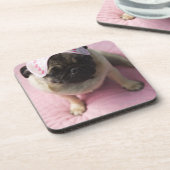 ベッドに坐る頭部の目マスクを持つパグ犬 コースター (左側)