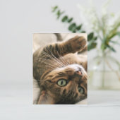 ベッドに横たわったかわいい茶色の斑点猫の子猫 ポストカード (スタンド正面)
