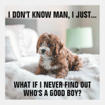 ベッドのおもしろいで悲しい子犬 ミーム