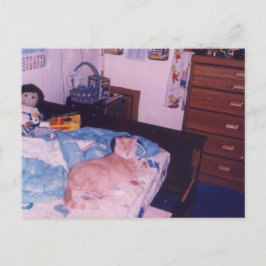ベッドの上でまろやかな猫 ポストカード