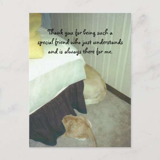 ベッドの下 ポストカード (正面)