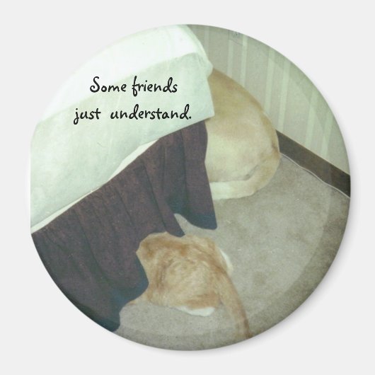 ベッドの下 マグネット (正面)