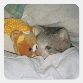 ベッドの中の悲しい猫 スクエアシール