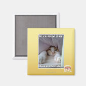 ベッドの奥まで… マグネット (正面/裏面)