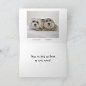 ベッドの滞在 カード (内部)