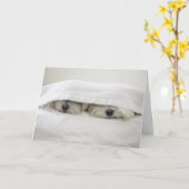 ベッドの滞在 カード (黄色い花)