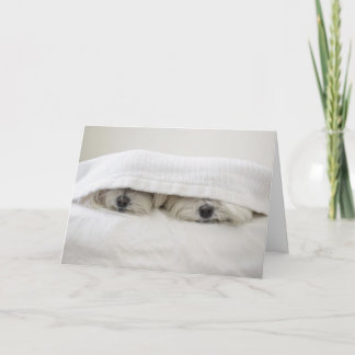 ベッドの滞在 カード