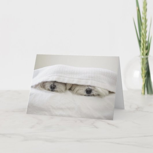 ベッドの滞在 カード (正面)