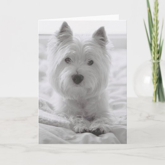 ベッドのBarko カード (正面)