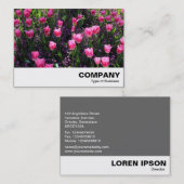 ベッドオブピンクチューリップ 名刺 (正面/裏面)