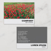 ベッドオブレッドチューリップ01 名刺 (正面/裏面)