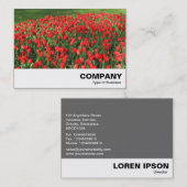 ベッドオブレッドチューリップ02 名刺 (正面/裏面)