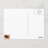 ベッドバグ：シメクス・レクチュラリウス ポストカード (裏面)