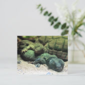 ベッドバディーズはがき ポストカード (スタンド正面)