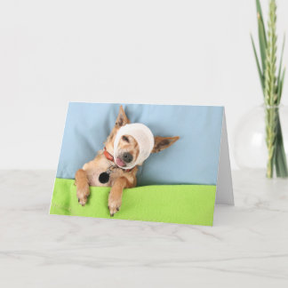 ベッドヘッド カード