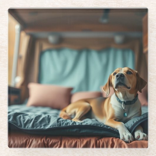 ベッド上の犬 ガラスコースター (正面)