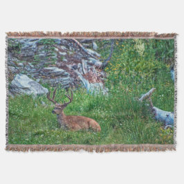 ベッド付きバック スローブランケット