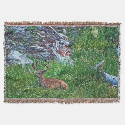 ベッド付きバック スローブランケット (正面)